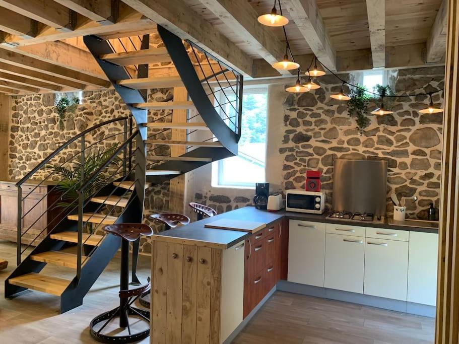 Villa La Grange De La Gratade à Rochefort-Montagne Extérieur photo