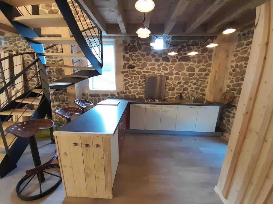 Villa La Grange De La Gratade à Rochefort-Montagne Extérieur photo